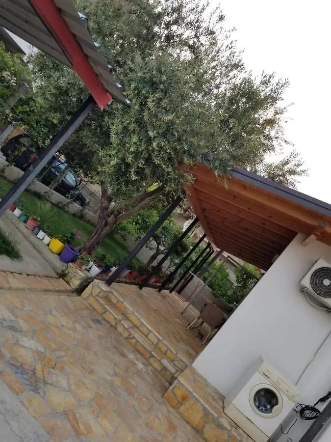 Vila Sita Wlora Dom wakacyjny